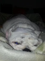20130904_224806.webp
