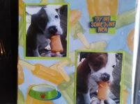 1026131317.webp