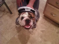 Duke Happy Halloween.webp