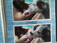 1026131317e.webp