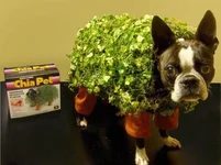 sandycostume.webp