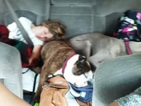 RoadTrip.webp