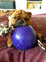 IMG_6310.jpg IMG_6310.jpg