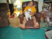 IMG_1383 (800x600).webp