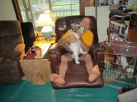 IMG_1382 (800x600).webp