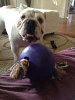 IMG_6312.jpg IMG_6312.jpg