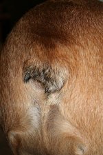 full (5).jpg full (5).jpg