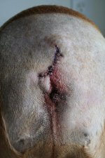 full (9).jpg full (9).jpg