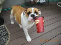 DSCN1073.webp