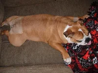 5 days after surgery.webp 5 days after surgery.webp