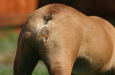 18 weeks after surgery.jpg 18 weeks after surgery.jpg