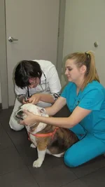 IMG_1446 (450x800).webp IMG_1446 (450x800).webp