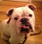 Branson.jpg Branson.jpg