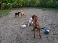 2014-04-19 19.00.20.webp 2014-04-19 19.00.20.webp