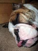 maudejune2013 012.JPG