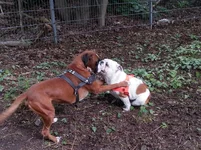 2014-05-07 10.30.25.webp 2014-05-07 10.30.25.webp