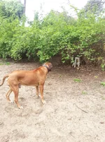 2014-04-19 10.18.19.webp 2014-04-19 10.18.19.webp