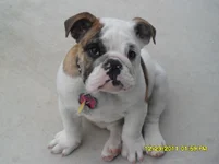 SAM_1152.webp