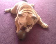 20140222_132621-1.webp