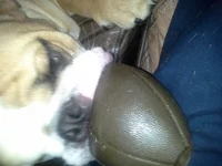 20140222_132821.webp