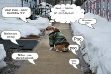 NOSnow1-1.webp NOSnow1-1.webp