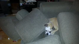 20130908_123654.webp