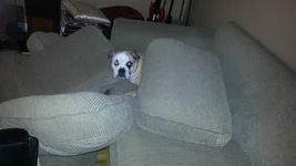 20130908_123640.webp