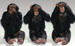 3-monkeys-hotlinking.jpg