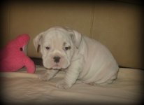 IMG_3858.JPG IMG_3858.JPG