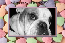 wendell valentines day 2014.webp