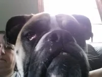 20140207_142953.webp