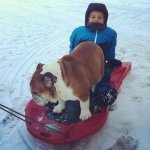 Flip and Mabel sledding.jpg