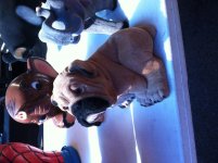 IMG_9777.jpg IMG_9777.jpg