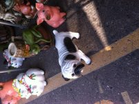 IMG_9780.jpg IMG_9780.jpg