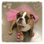 Fiona.webp