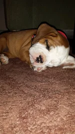 20140507_203948.webp