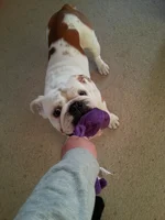 2014-02-24 16.42.22.webp
