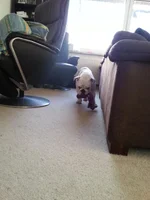 2014-02-24 16.46.55.webp