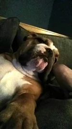 2014-04-22 00.08.02.webp