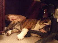 DSCF8368.webp