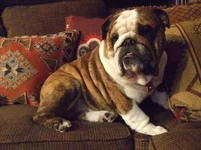 DSCF8333.webp