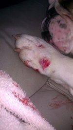 IMAG0431 (2).jpg IMAG0431 (2).jpg