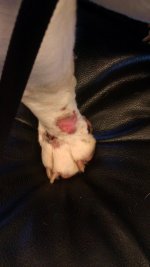 IMAG0437.jpg IMAG0437.jpg