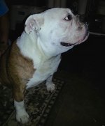Winston2.jpg Winston2.jpg