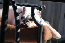 IMG_0280.jpg IMG_0280.jpg