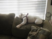 IMG_1258.jpg IMG_1258.jpg