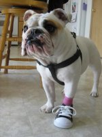 IMG_1301 (2).jpg IMG_1301 (2).jpg