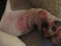 img1410wt.jpg img1410wt.jpg