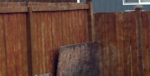 IMG_07811.jpg IMG_07811.jpg