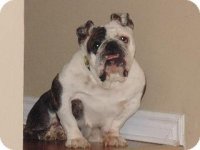 wrinkles hbr.jpg wrinkles hbr.jpg